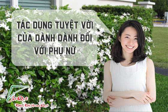 nấu xôi vò bột dành dành thơm ngon bằng lò vi sóng